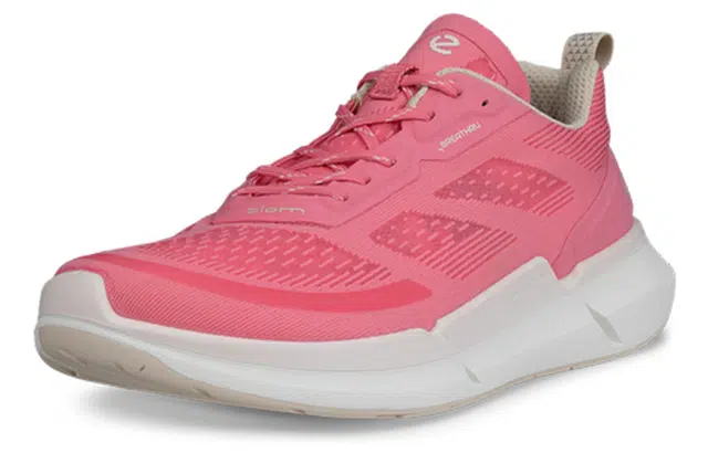 ecco 2.2