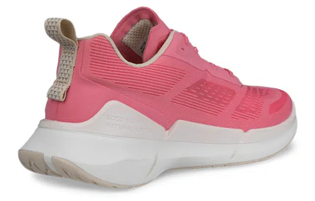 ecco 2.2