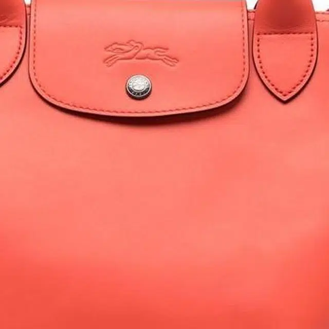 LONGCHAMP Le Pliage Xtra 25