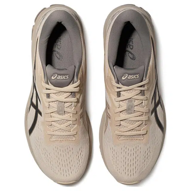 Asics GT-1000 10