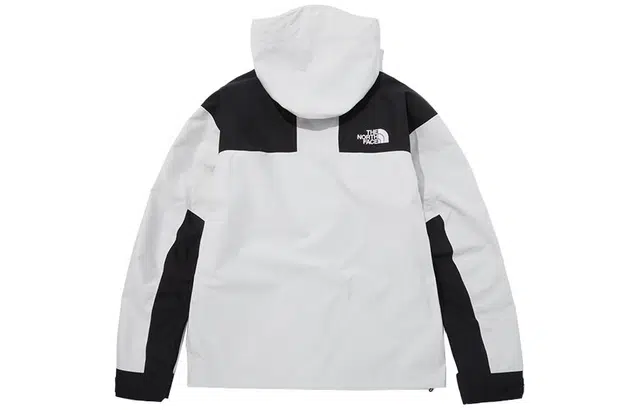THE NORTH FACE 1990 GTXlogo