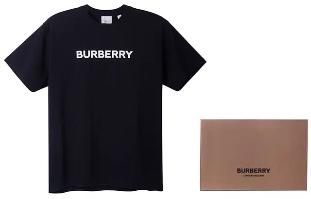 Burberry SS22 LogoT