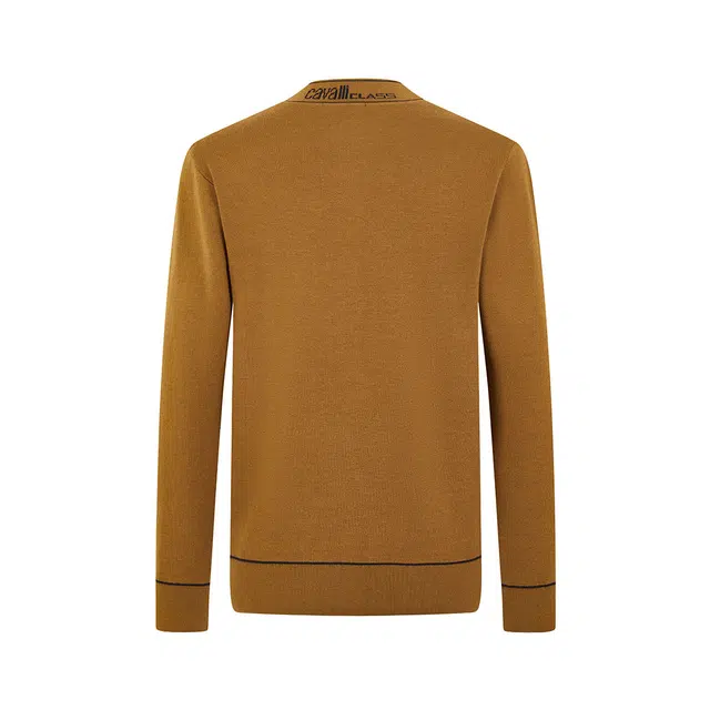 Cavalli Class Sweater