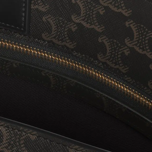 CELINE CabasTriomphe Tote