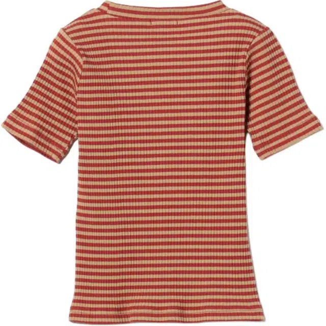 beams T