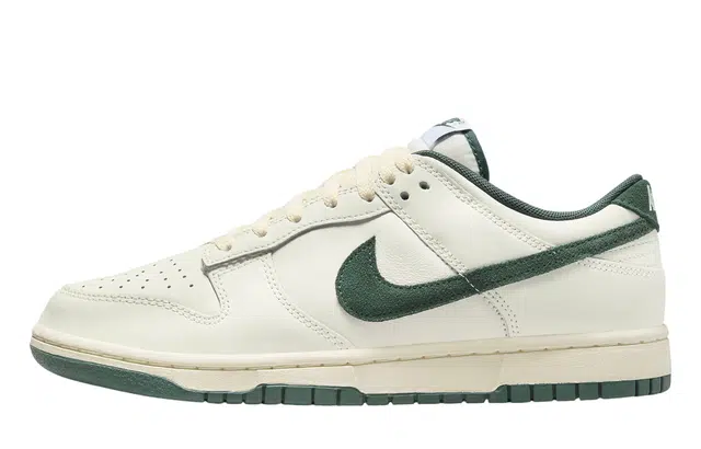 Nike Dunk FZBB