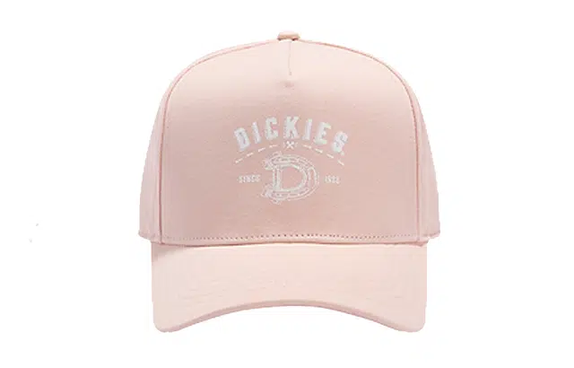 Dickies