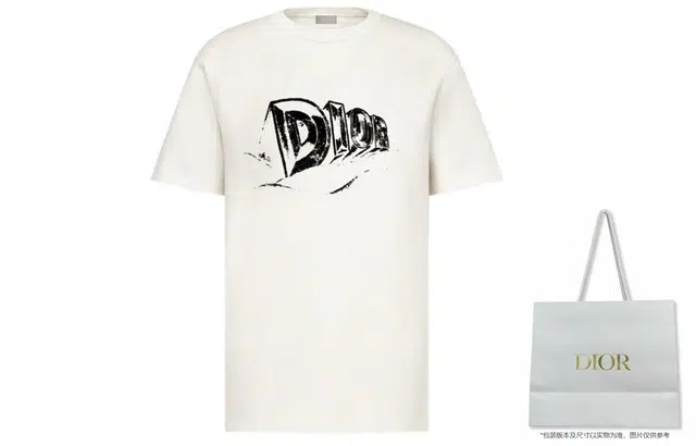 DIOR SS23 LogoT