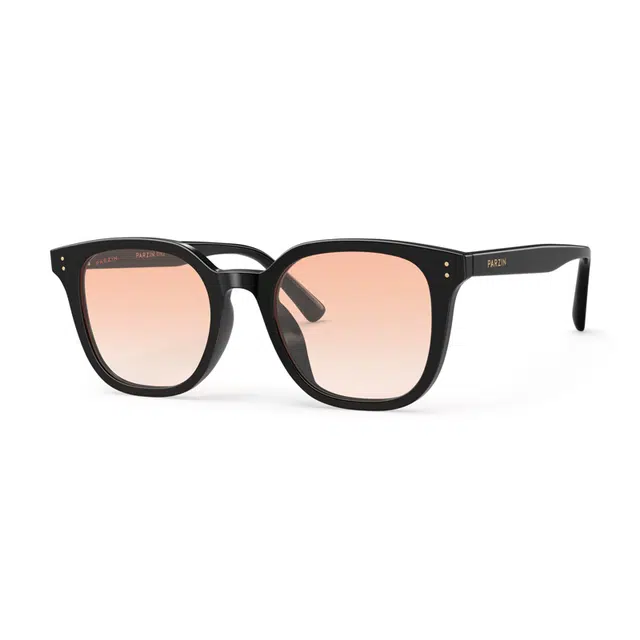 PARZIN 91639