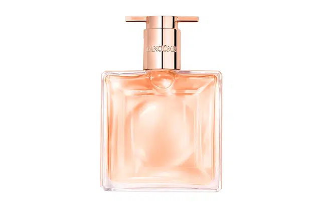 EDT 25ml50ml100ml