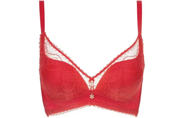 缪斯的诱惑 蕾丝边收副乳聚拢无钢圈文胸 女款