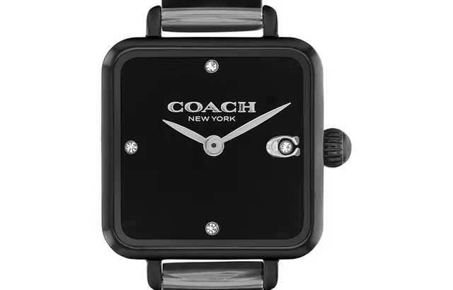 COACH CASS 14504307
