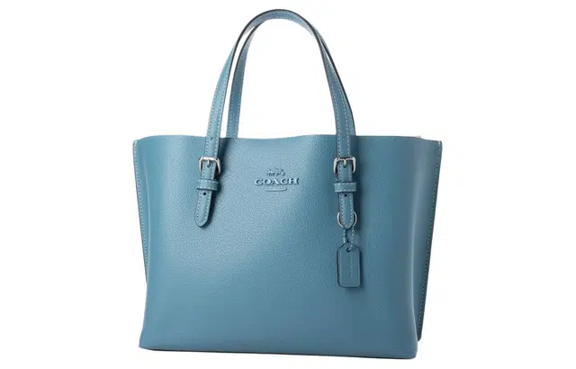 COACH Mollie 25 Logo Tote 25