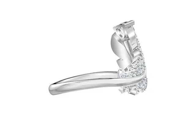 Swarovski NICE