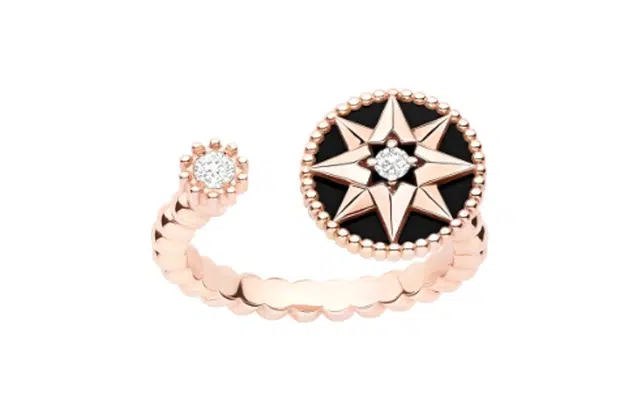 DIOR ROSE DES VENTS 18K