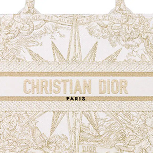 DIOR BookTote Tote