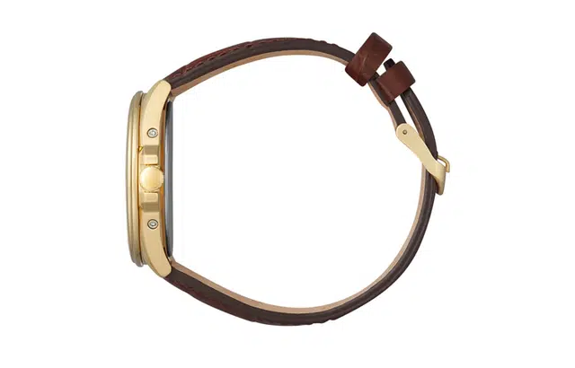 CITIZEN CB0253-19A