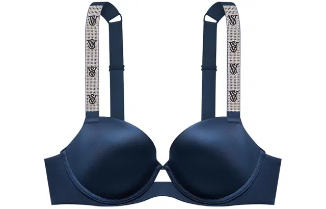 VICTORIA'S SECRET Logo