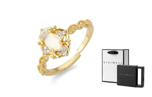 VIVIWELL