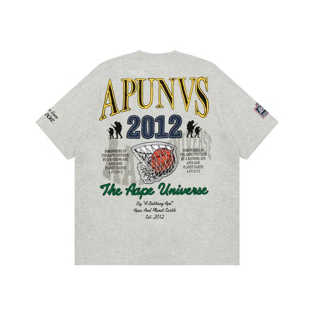 Aape T