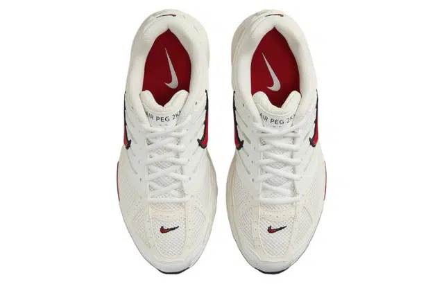 Nike AIR PEGASUS 2K5