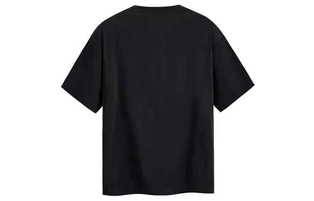 ICONS Lab T