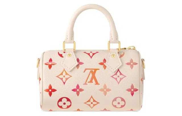 LOUIS VUITTON Nano Speedy