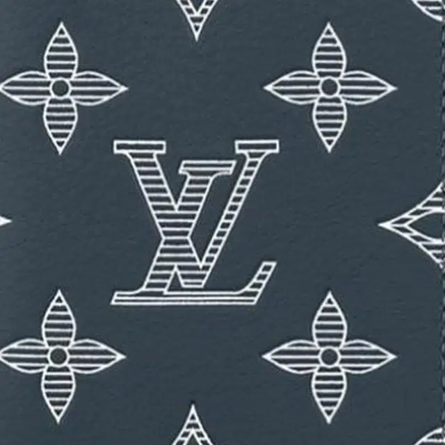 LOUIS VUITTON Pocket Organizer