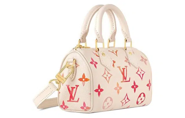 LOUIS VUITTON Nano Speedy