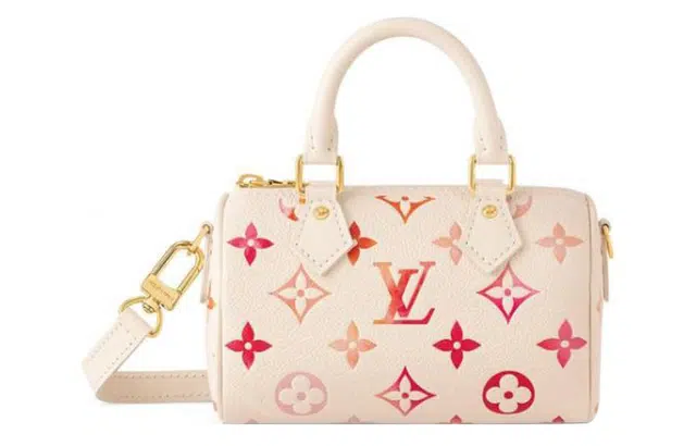 LOUIS VUITTON Nano Speedy