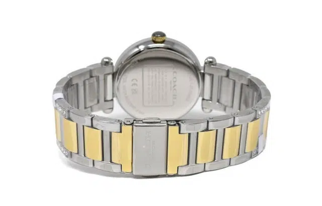 COACHCARY 34mm 30 14503833