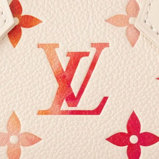 LOUIS VUITTON Nano Speedy