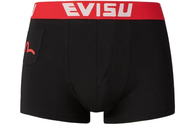 EVISU Logo 1