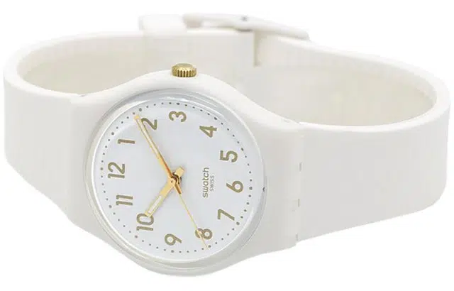 SWATCHORIGINALS 34mm GW164