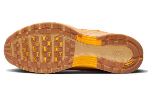 Nike P-6000