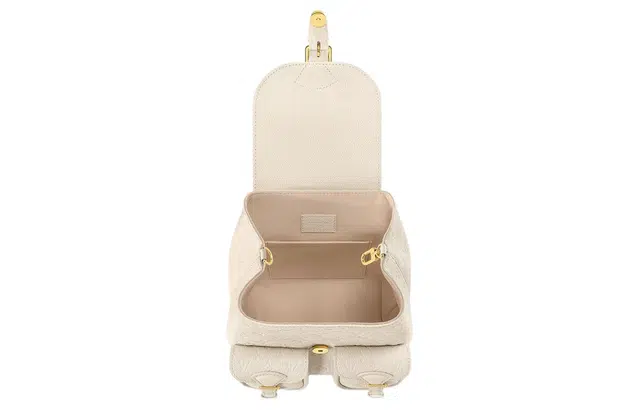 LOUIS VUITTON Backup