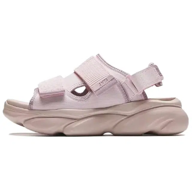 Anta