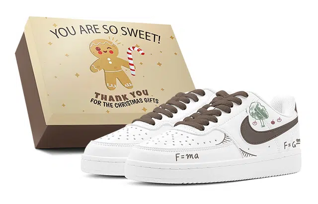 Nike Court Vision 1 520