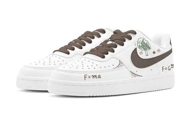 Nike Court Vision 1 520