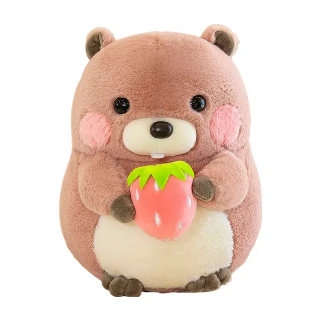 abay 20cm30cm