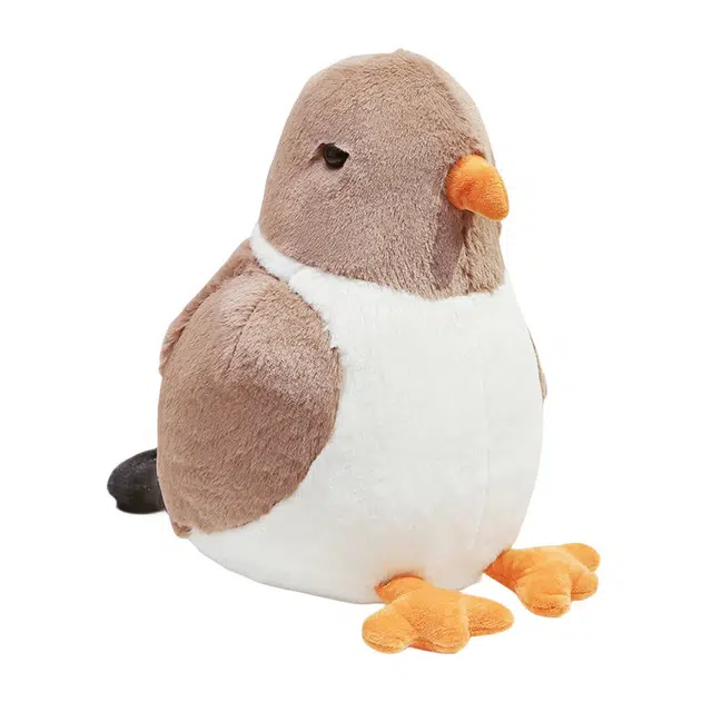 30cm40cm
