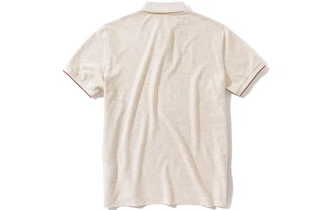 logoPolo