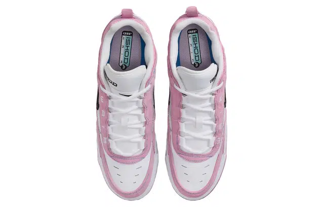 Nike SB Ishod 2