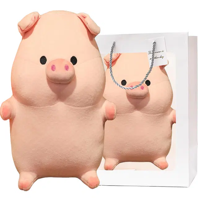 25cm35cm