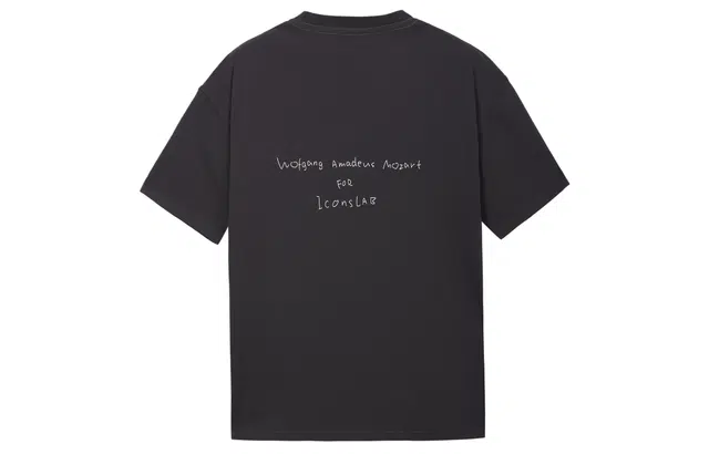 ICONS Lab T