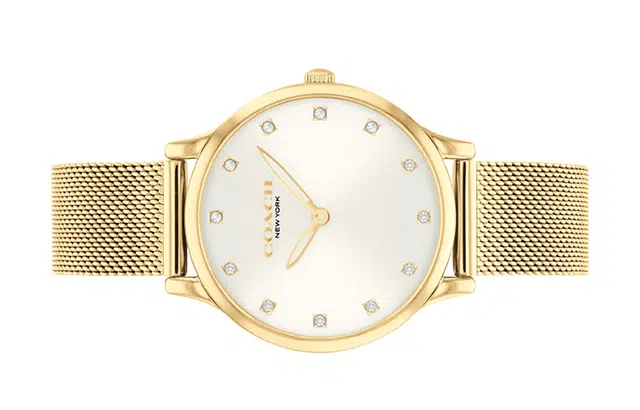 COACHCHELSEA 32mm 32mm