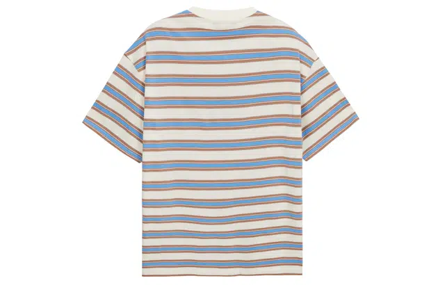 ICONS Lab T