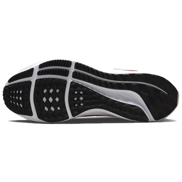 Nike Air Zoom Pegasus 39