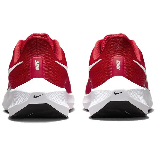 Nike Air Zoom Pegasus 39