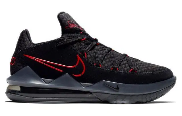 Nike Lebron 17